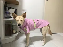 Jacket Raincoats Puppy-Clothes Pets Reflective Dog Small Waterproof Outdoor Large Breathable
