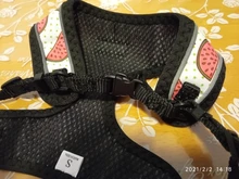 Arnés de nailon para perros y gatos, chaleco con estampado para cachorros de tamaño pequeño y medio, Bulldog Francés y Chihuahua