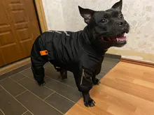 HOOPET Large Coat Down-Jacket Winter New Warm Autumn for Dogs Dog-Prints Overalls Leisure-Style