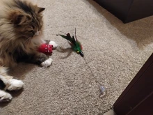 Cat-Toy Interactive-Tools Pet-Supplies Plush-Toys Mint-Scratcher Catnip Teeth-Grinding