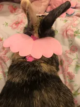 Arnés de nailon pequeño para perros, 10 colores, bonito arnés a prueba de Escape para gatos, conejos, Chihuahua y cachorros