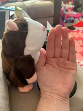 15cm lindo caminar hablar hámster muñeco de peluche Animal Sonido divertido registro repetir cambiando la voz de mascotas