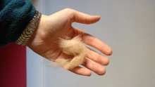 HOOPET Gato Guantes de Masaje Peine Del Pelo Del Cepillo de Baño Para Mascotas Perro Mascota de Aseo productos de Limpieza