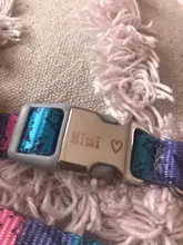 Ajustable de Nylon perro divertido Collar de nombre grabado teléfono azul Pitbull, perro personalizado Collar de mascota perro Etiqueta de impresión Collar