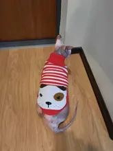 Antumn-ropa de invierno para gatos abrigo de suéter Katten para perros, disfraz de gato para perros pequeños, Chihuahua, Pugs, Bulldog francés