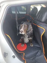 Hammock Cushion Seat Pet-Carrier Car-Rear Breathable Waterproof Mesh with Zipper And