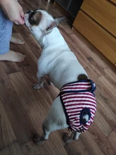 Menstruation Underwear Panties Jumpsuit Diaper Dog-Shorts Pet-Physiological Sanitary