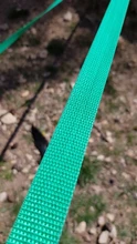 Correas de nailon para entrenamiento de perros, suministros para mascotas, arnés para caminar, Collar, cuerda para perros, gatos, 1,5 M, 1,8 M, 3M, 4,5 M, 6M, 10M