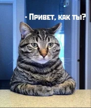 CAR DVR Camera Video-Recorder Dash-Cam Registrar WIFI D530 Speed-N Night-Vision VVCAR