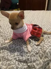 Ropa de pareja para Perro, uniforme de Mascota, Ropa para perros pequeños y medianos, disfraz de Chihuahua, camiseta para cachorro, Ropa para perros, Ropa para Perro
