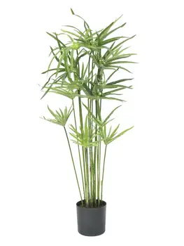 

EUROPALMS Cyprus grass, artificial, 76cm