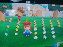 Set Zodiaco - Zodiac Set - Animal Crossing New Horizons