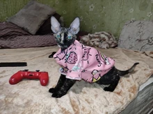 Estampado de conejo disfraz mascota gato para gatos de Kedi Katten Sudadera con capucha Primavera Verano gato traje de ropa de mascotas ropa para gato