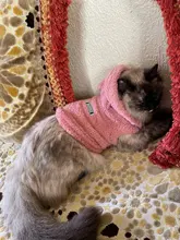 Ropa de Gato caliente para mascotas, abrigo, chaqueta para perros pequeños, medianos, gatos, Chihuahua, ropa de Yorkshire, disfraz rosa, S-2XL