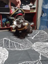 Funny Cat Costumes Pirate Suit Cat Clothes Kitty Kitten Corsair Halloween Costume Puppy