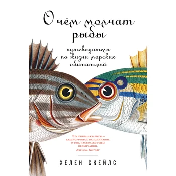 

What is the silence of fish: a guide to the life of marine inhabitants