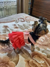 Summer Dress Jean Skirt Dog-Pets Dogs Chihuahua for Puppy-Clothing XS-L