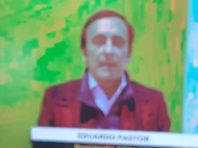 1pc Temperature Adjustable Heating Light Breeding Heater Fan Heat Lamp (Green)