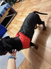 Coat Jacket Puppy-Vest Dogs Waterproof Winter Medium Pet-Dog Zipper Small Large Warm