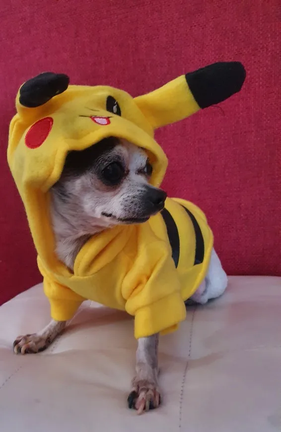 Fantasia ZC Pets Pikachu Pokémon - Zona Criativa - Fantasia