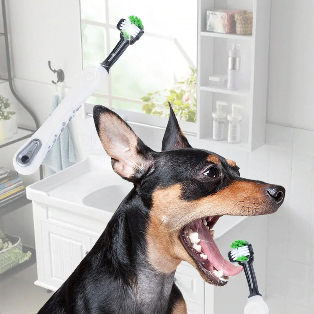 CEB55719-CBBD-4725-9680-403911D63943