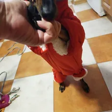 Winter Overalls for Dogs Warm Waterproof Pet Jumpsuit Trousers Male/ Female Dog Reflective