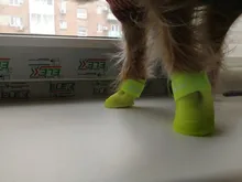 4pcs Pet Dog Shoes Waterproof Rain Pet Shoes for Dog Puppy Rubber Boots Candy Color Puppy