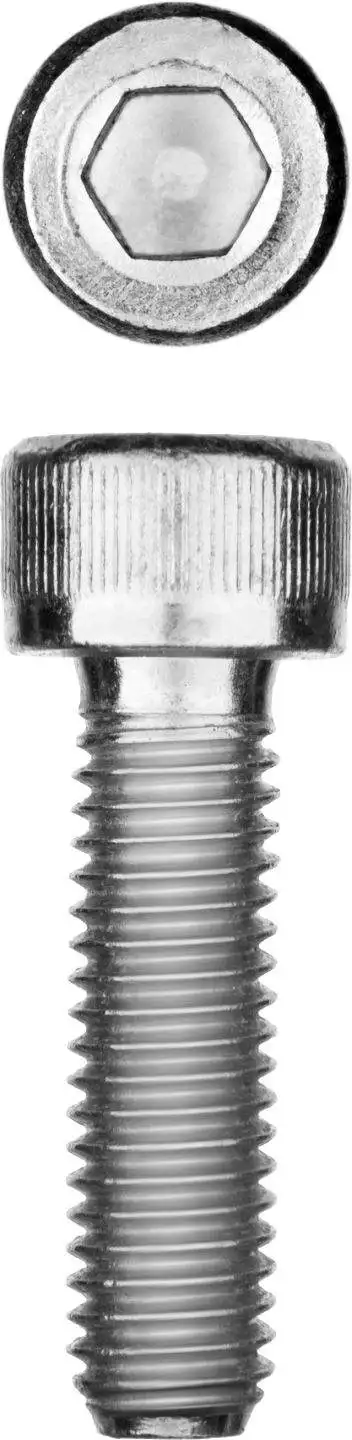 Винт DIN 912 М6x25 мм 5 кг (710 шт.) кл. пр. 8.8 оцинкованный ЗУБР (арт. 30318-06-025) | Обустройство