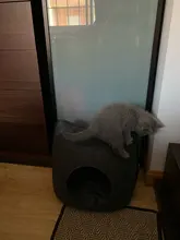 Cat-Bed Cushion Cats-Basket-Bags Nest Pet-Supplies Cave-Sleeping-Bag Zipper for Felt-Cloth