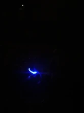 Dog-Collar Flashing Pet-Dog Glowing Night-Safety Rechargeable Luminous LED Usb