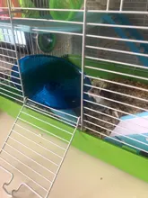 Hámster platillo volador ejercicio rueda de ardilla hámster ratón corriendo disco Juguetes Para rata jaula de hámster pequeño Animal Accesorios