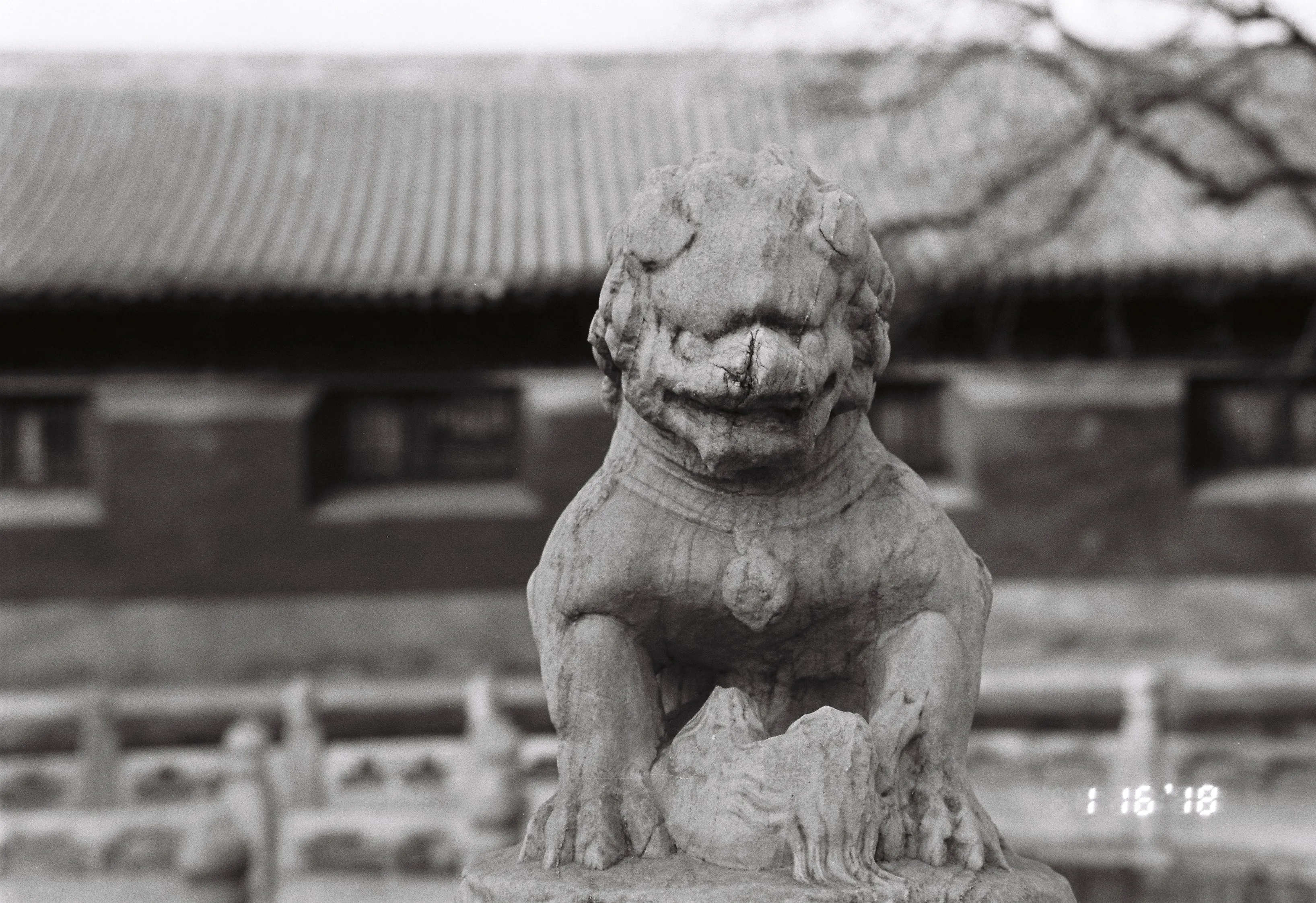伊尔福Pan100