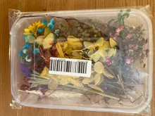 1 caja de hojas de flores prensadas reales, resina de margaritas secas, calcomanías de belleza para uñas, moldes de epoxi, embellecedores para fabricación de joyas