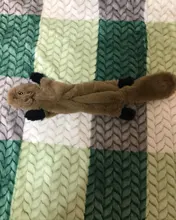 2019 nueva lindo juguetes de peluche squeak Lobo mascota conejo animal perro de peluche de juguete para masticar con chirrido silbando involucrado ardilla perro Juguetes