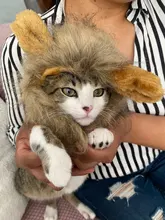 Disfraz de perro o gato Peluca de melena de León, gorro para gato, perro, ropa de Halloween y Navidad, vestido de lujo con orejas, ropa para mascotas