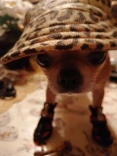 Boots Pet-Shoes Dog Large Waterproof Anti-Skid Small Winter Golden Warm Big 8-Sizes Wear-Resistant