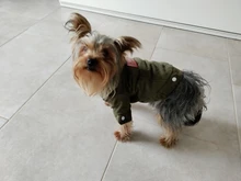 French Bulldog Small Dogs Pugs Winter For Chihuahua Outfit Pink Warm Clothing Roupa Pet-38s2