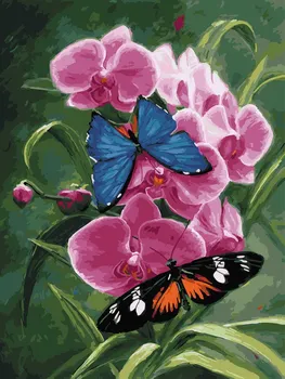 

Summer Dreams, picture by numbers color kit ce144