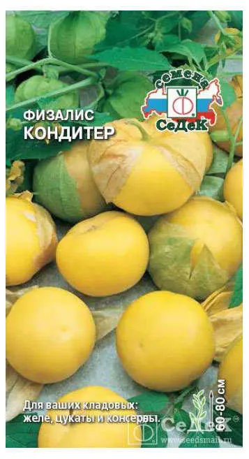 Купить Семена Седек Оптом