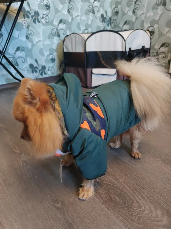 DogMEGA Warm Two-Legged Plush Vest Hoodie | Autumn And Winter Clothes for Small Dog photo review