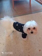 Pet-Dog-Clothes Jacket Coat Puppy Dogs Chihuahua Cotton for Warm Thick And Thin