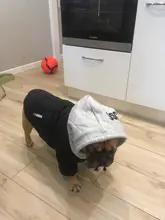 Jacket French Bulldog Dog Winter SUPREPET Coat Pet-Dog Dogs Large Cotton for Warm Perro