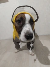 Mono impermeable para perro mascota, ropa impermeable para exteriores, mono con capucha para perros pequeños y grandes, capa impermeable, Bulldog francés