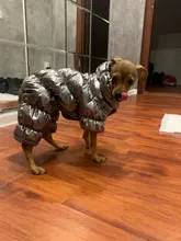 Jacket Clothing Puppy Small Dogs Waterproof Winter Overalls Pet-Coat Dog-Jumpsuit Fleece