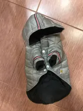 Coat Puppy Clothing Pet-Dog-Jacket Dogs Chihuahua Yorkshire Hoodies Outfit Small Winter