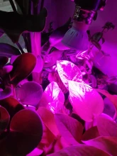 Grow-Lamp Lights-Plants E27-Hydroponic-System Indoor-Lighting Full-Spectrum 220V 80leds