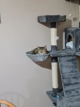 Cat Hammock Pet-Bed Hanging Sleeping-Kennel Install-On-Cat-Tree Soft Plush Dia Big-Capacity