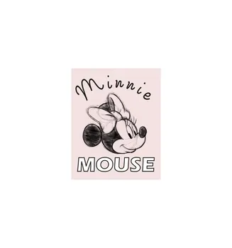 

CANVAS 20X25 CM DISNEY MINNIE MOUSE