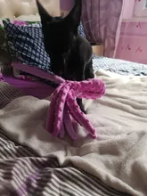 Juguete de peluche suave con 8 patas de pulpo para perros, juguete interactivo para jugar al aire libre, con sonido sonoro, juguete dental para masticar