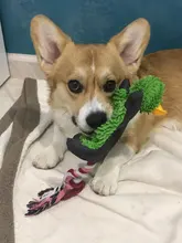 Dog-Toys Pets-Accessories Puppy Animals-Shape Plush Small Dogs Squeaker Ropes for 